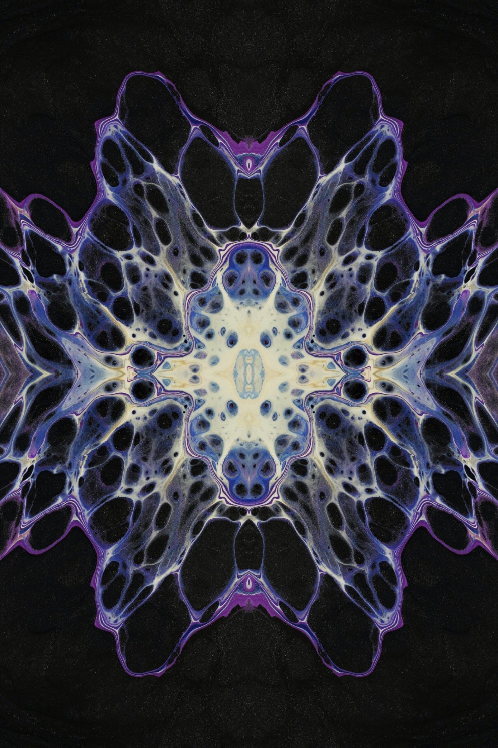 a close up of a sea creature