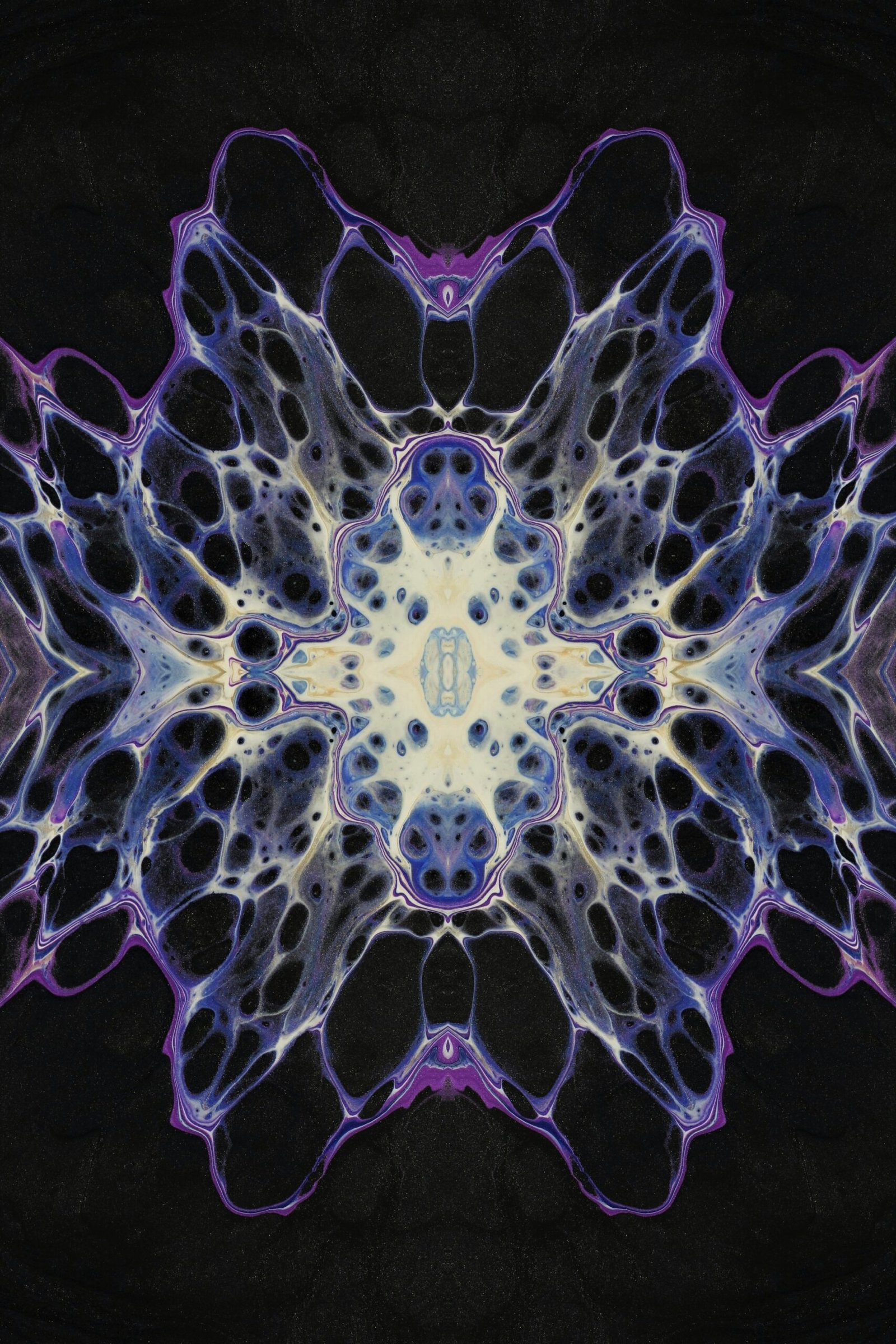 a close up of a sea creature
