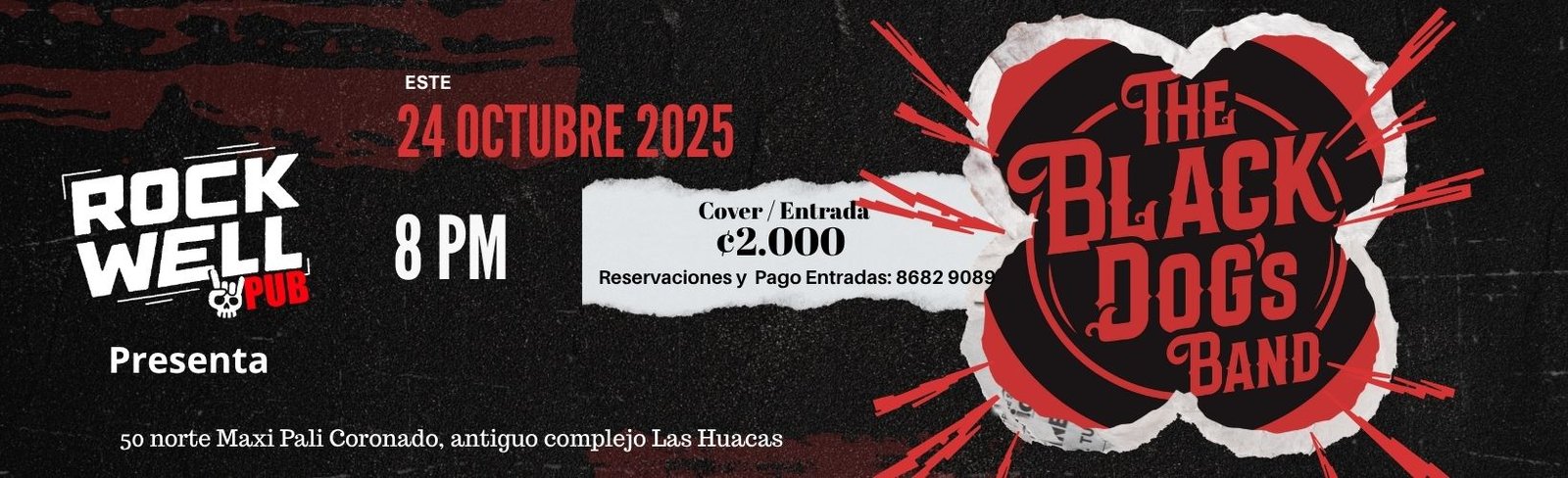 Black Dogs en vivo
